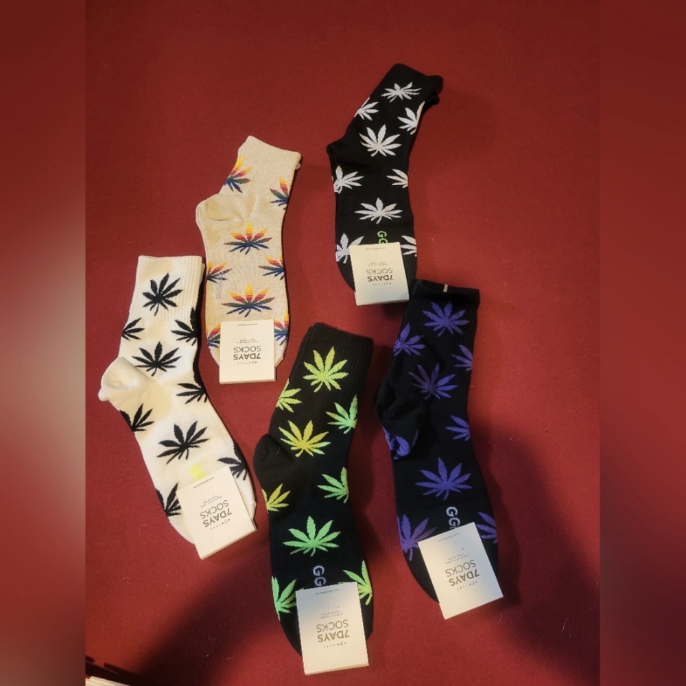 Socks-Rainbow